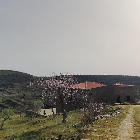 Eira Da Fraga Villa Вила Нова ди Фош Коа Екстериор снимка